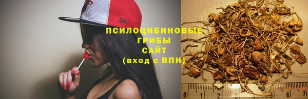 PSILOCYBIN Ессентукская