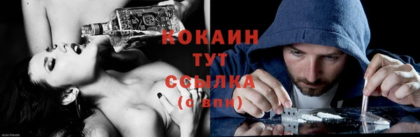 дживик Новосибирск