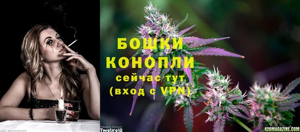 стаф Санкт-Петербург