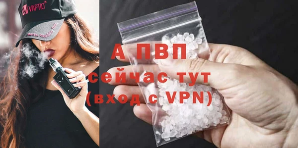 PSILOCYBIN Ессентукская