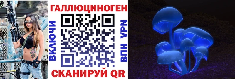 закладки  Урюпинск  Галлюциногенные грибы прущие грибы 