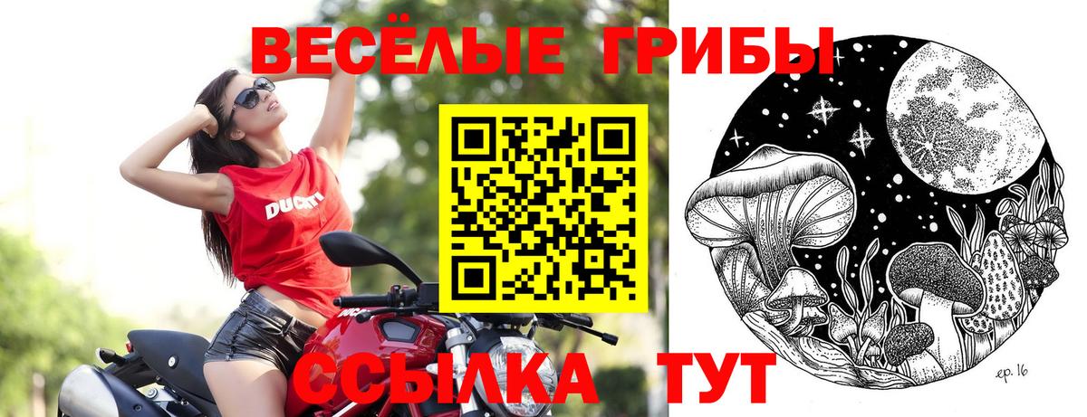Псилоцибиновые грибы прущие грибы  как найти закладки  Урюпинск  Вход с VPN 
