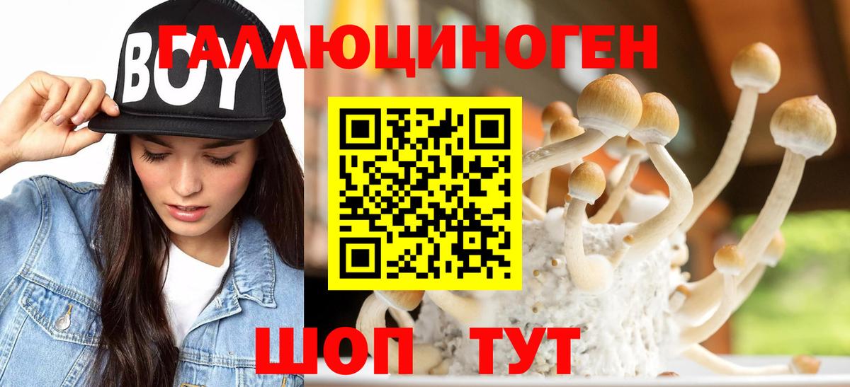 Галлюциногенные грибы GOLDEN TEACHER Урюпинск