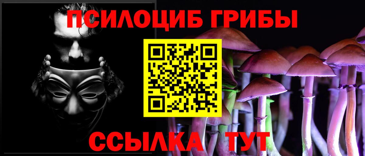 Псилоцибиновые грибы мицелий  Вход с VPN  Галлюциногенные грибы прущие грибы  Урюпинск 